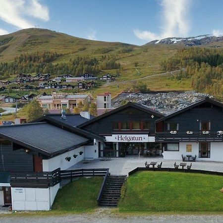 Helgatun Fjellpensjonat As Воссестранн Экстерьер фото